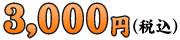 3,000円（税込）